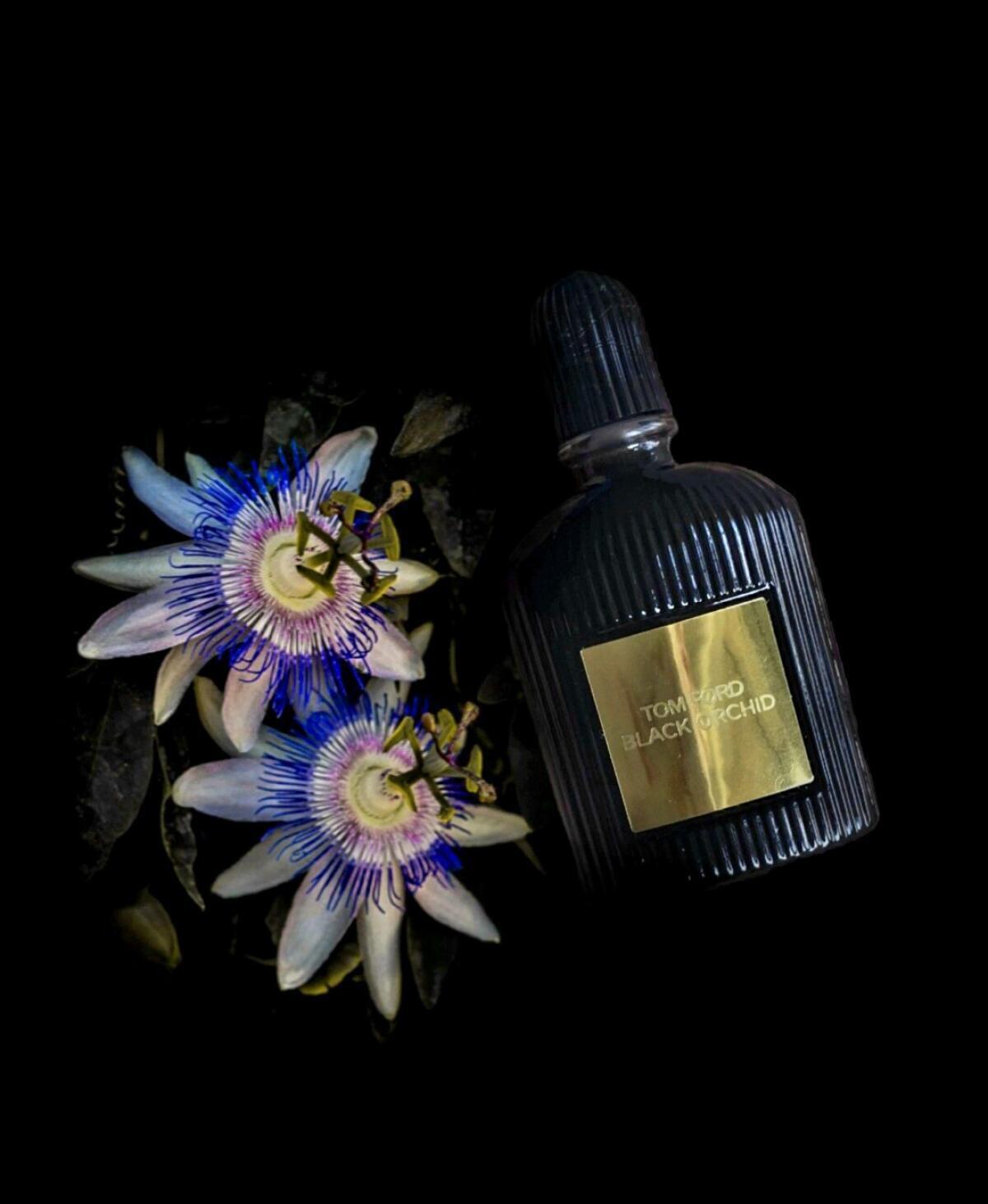 Black Orchid 100ML/3.4OZ