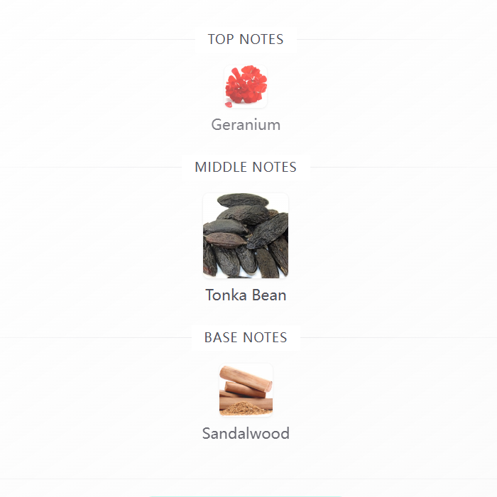 Scandal Pour Homme Le Parfum 100ML