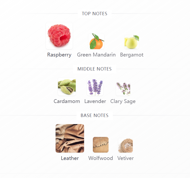 Forever Wanted Elixir 100ML