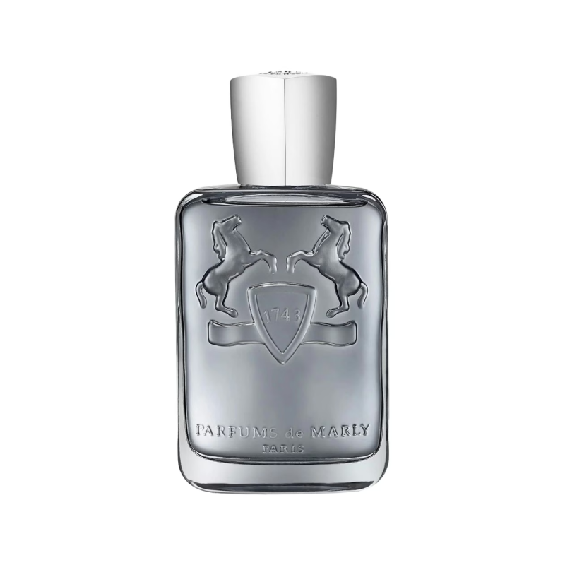 Castley Parfums de  125ML