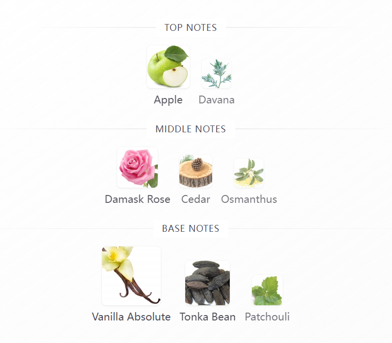 Elixir Rabanne 100ML