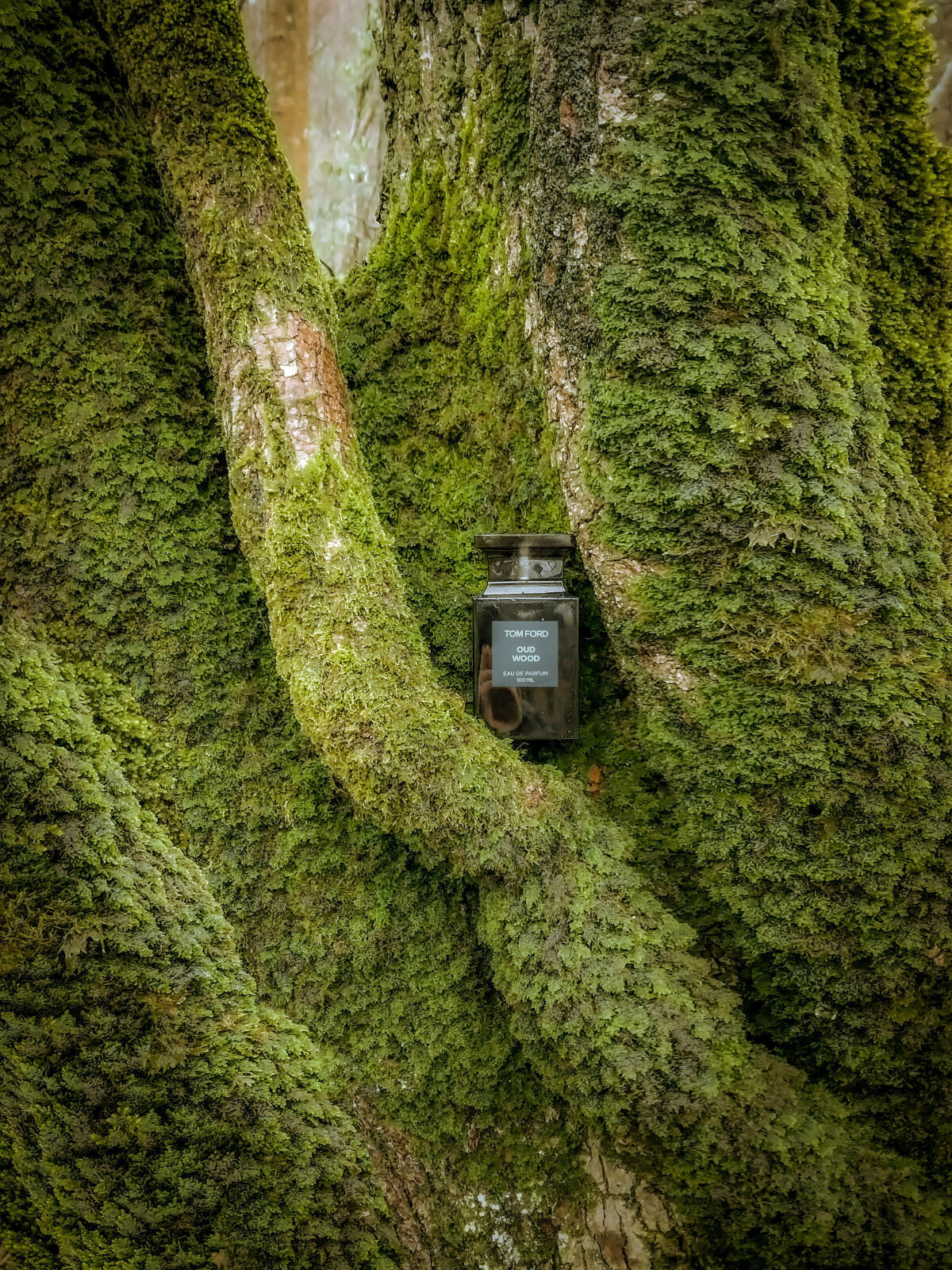 Oud Wood 100ML/3.4OZ